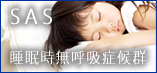 SASとは