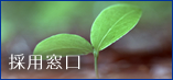 採用窓口
